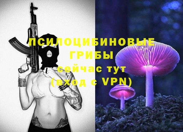 Альфа ПВП Аркадак