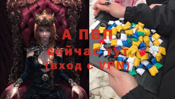 Альфа ПВП Аркадак