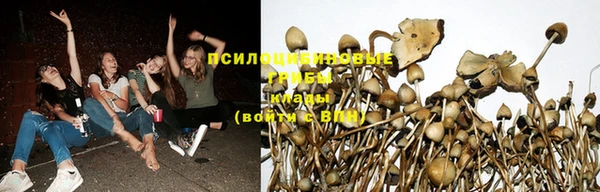 Альфа ПВП Аркадак