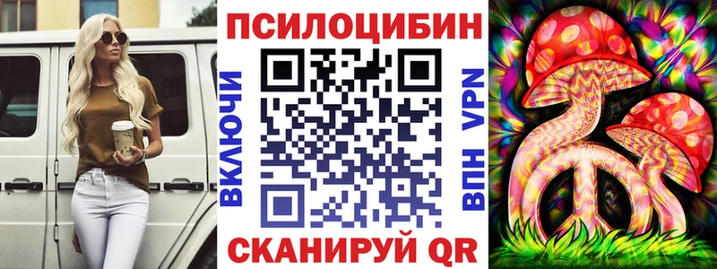 Купить где  Туринск  Псилоцибиновые грибы Psilocybe 